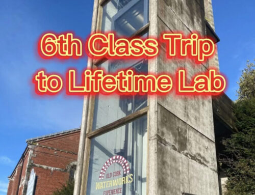 6th Class Trip to the Lifetime Lab